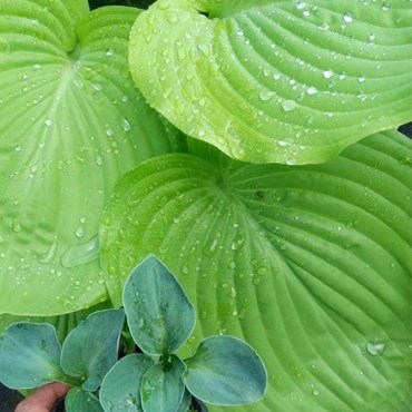 сан энд суб